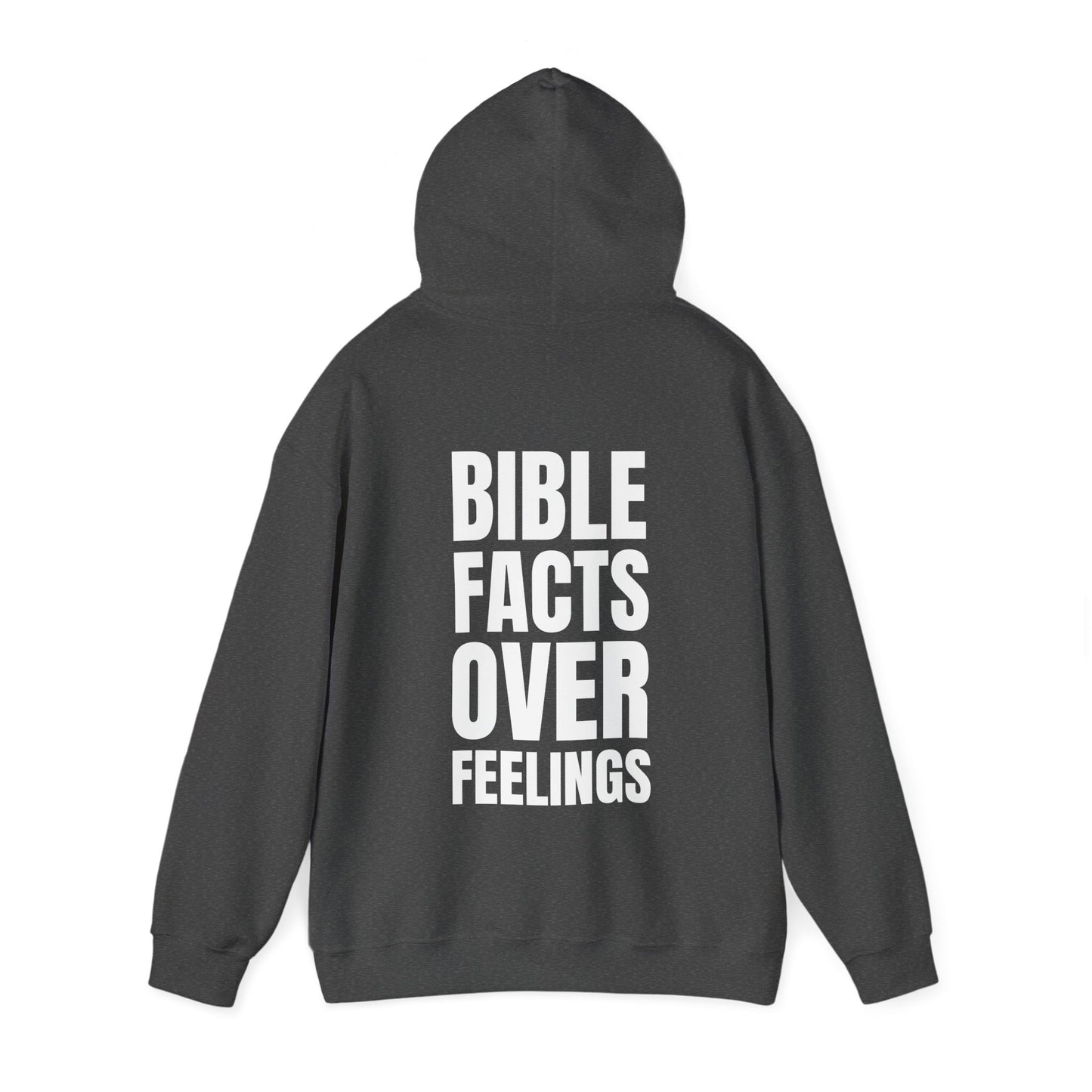 "Bible Facts Over Feelings"™ Hooded Sweatshirt